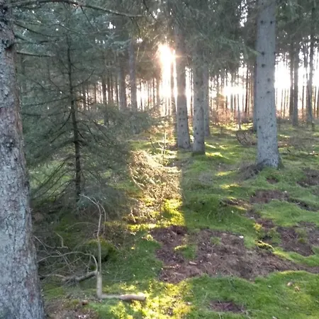 Original Kirgisisk Jurte Luxussátor